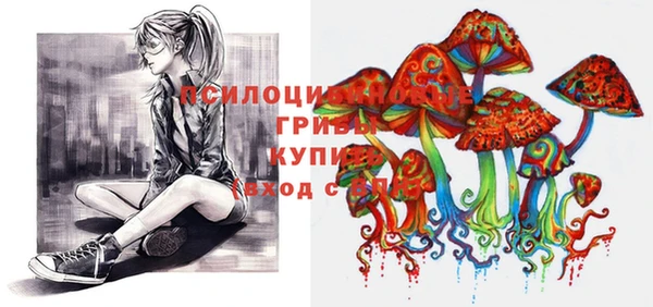 стафф Новокубанск