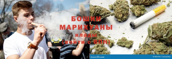 стафф Новокубанск