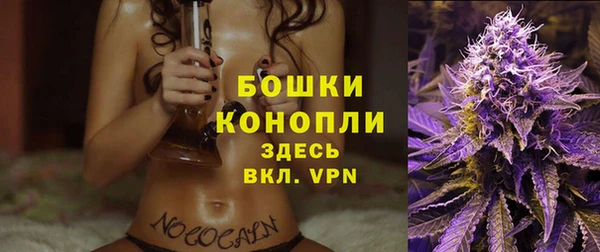 ALPHA PVP Новозыбков