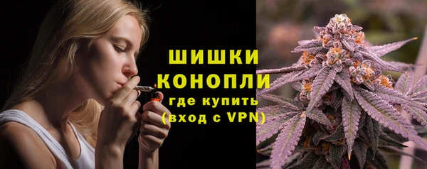 ALPHA PVP Новозыбков
