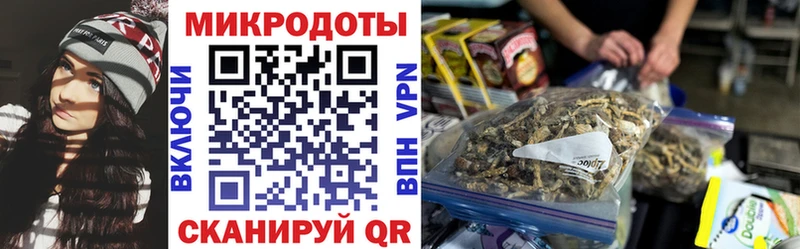 цена наркотик  Урюпинск  Псилоцибиновые грибы Psilocybine cubensis 