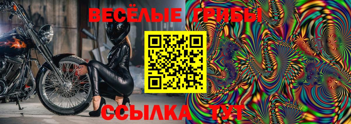 Урюпинск  Галлюциногенные грибы ЛСД  Галлюциногенные грибы Cubensis  Вход с VPN 
